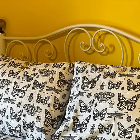 La Casa Del Tio Faustino * Ladrido